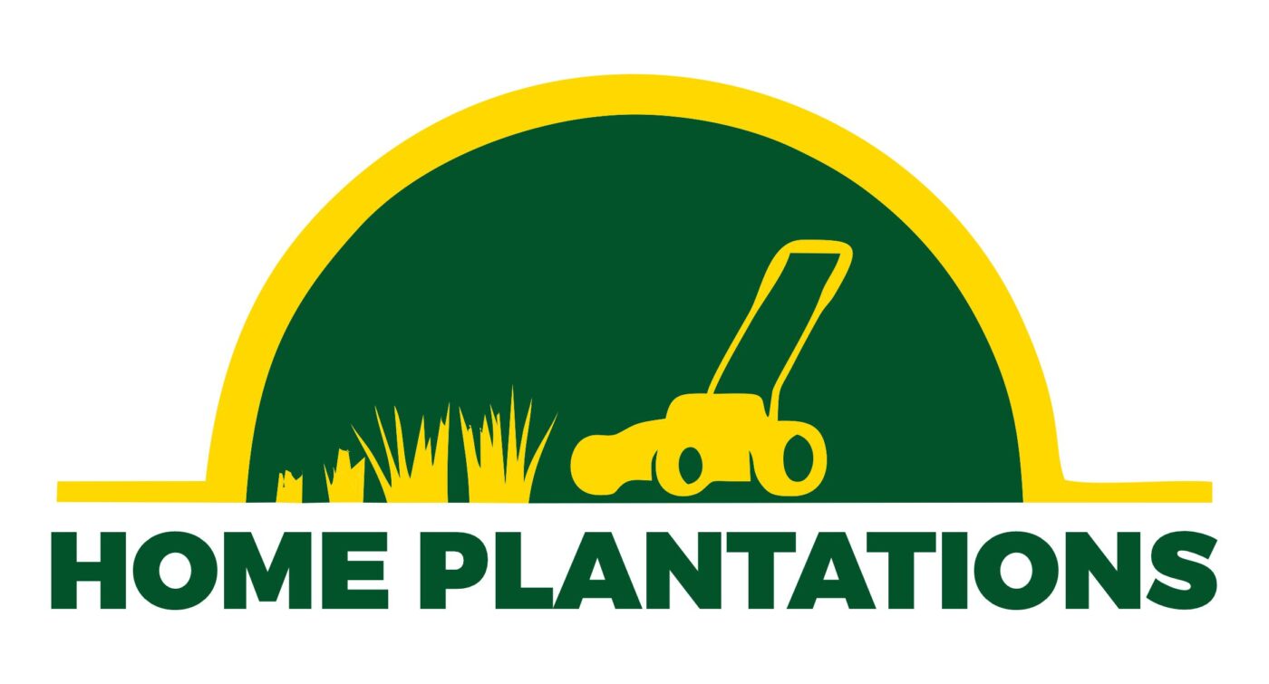 Home Plantation | Harvesting Quality, Cultivating Nature